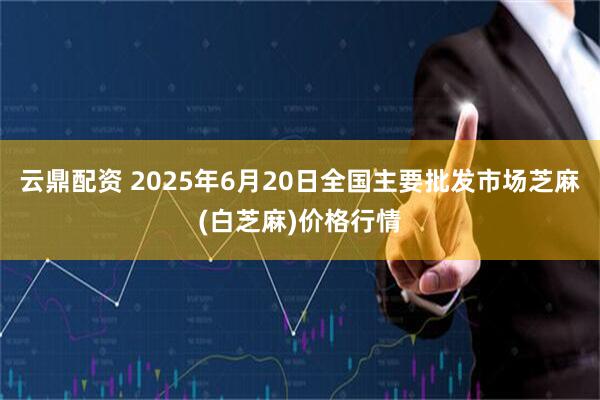 云鼎配资 2025年6月20日全国主要批发市场芝麻(白芝麻)价格行情