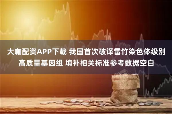 大咖配资APP下载 我国首次破译雷竹染色体级别高质量基因组 填补相关标准参考数据空白
