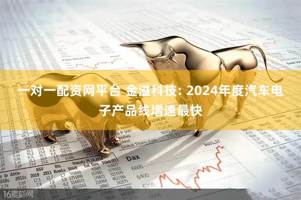 一对一配资网平台 金溢科技: 2024年度汽车电子产品线增速最快
