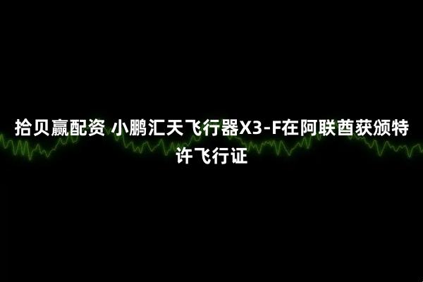 拾贝赢配资 小鹏汇天飞行器X3-F在阿联酋获颁特许飞行证