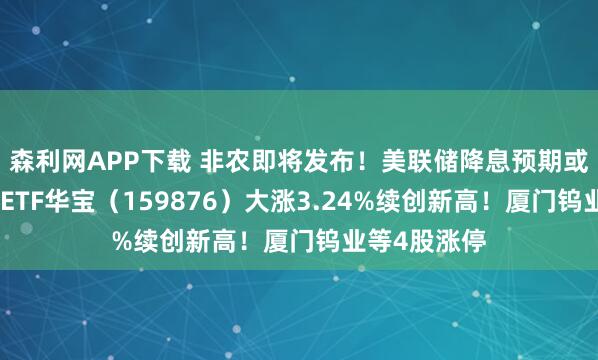 森利网APP下载 非农即将发布！美联储降息预期或升温！有色ETF华宝（159876）大涨3.24%续创新高！厦门钨业等4股涨停