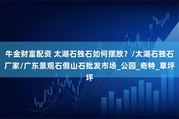 牛金财富配资 太湖石独石如何摆放？/太湖石独石厂家/广东景观石假山石批发市场_公园_奇特_草坪