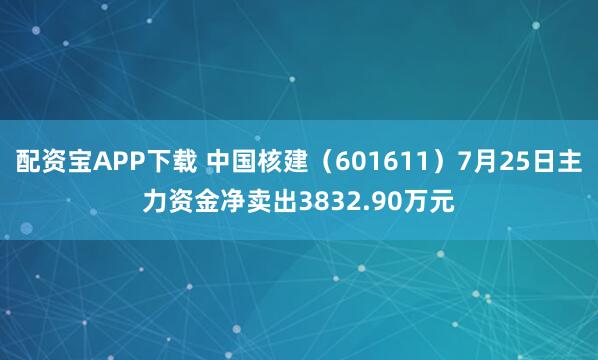 配资宝APP下载 中国核建（601611）7月25日主力资金净卖出3832.90万元