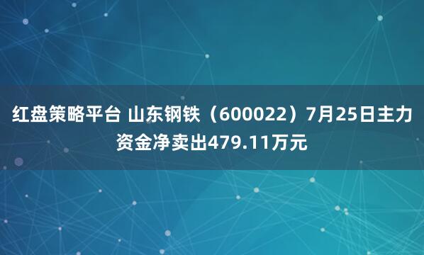 红盘策略平台 山东钢铁（600022）7月25日主力资金净卖出479.11万元