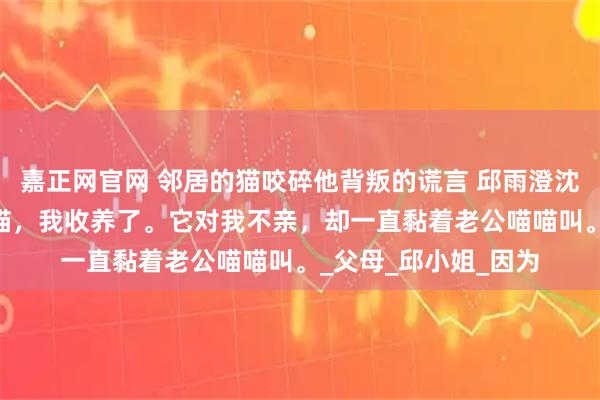 嘉正网官网 邻居的猫咬碎他背叛的谎言 邱雨澄沈宁辰夏采薇 邻居弃猫，我收养了。它对我不亲，却一直黏着老公喵喵叫。_父母_邱小姐_因为