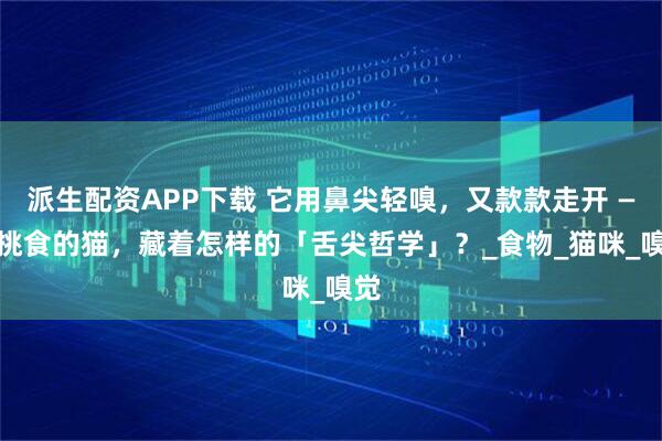 派生配资APP下载 它用鼻尖轻嗅，又款款走开 —— 挑食的猫，藏着怎样的「舌尖哲学」？_食物_猫咪_嗅觉