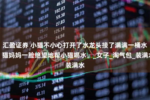 汇盈证券 小猫不小心打开了水龙头接了满满一桶水，猫妈妈一脸绝望地帮小猫喝水。_女子_淘气包_装满水