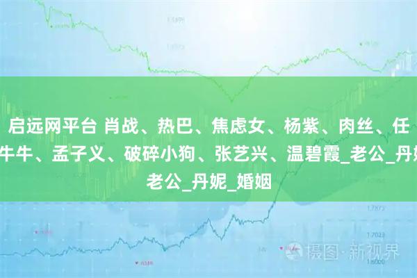 启远网平台 肖战、热巴、焦虑女、杨紫、肉丝、任嘉伦、牛牛、孟子义、破碎小狗、张艺兴、温碧霞_老公_丹妮_婚姻