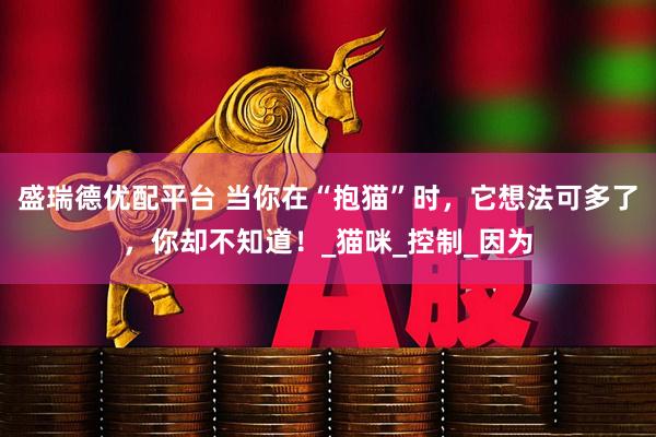 盛瑞德优配平台 当你在“抱猫”时，它想法可多了，你却不知道！_猫咪_控制_因为