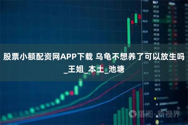 股票小额配资网APP下载 乌龟不想养了可以放生吗_王姐_本土_池塘