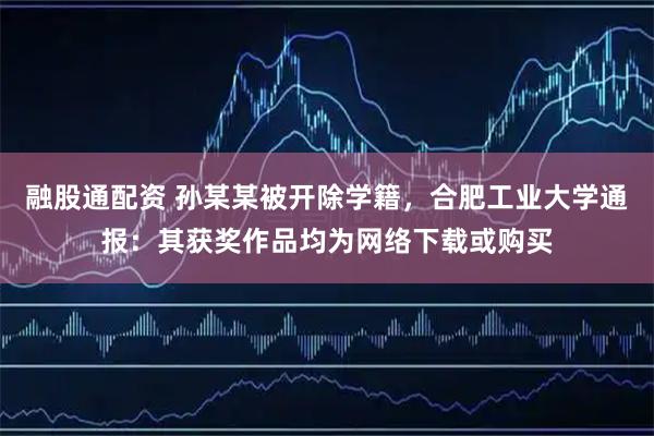 融股通配资 孙某某被开除学籍，合肥工业大学通报：其获奖作品均为网络下载或购买